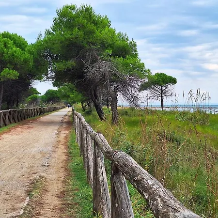 Apartment Delightful Flat For 8 Guests In - Beahost Bibione