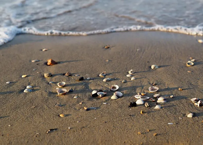 Welcoming Family Flat Near Thermae *